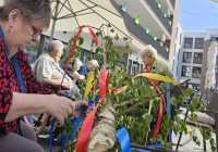 Malsch Maibaum 2024_7.jpg