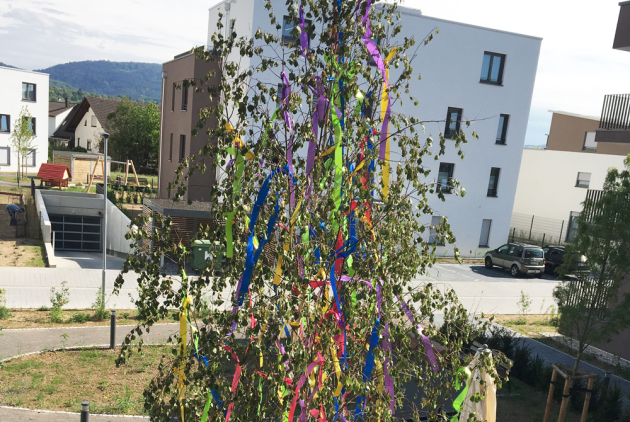 Maibaum Malsch 2020