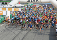 BASF-Firmencup 1 Infront B2Run GmbH.jpg