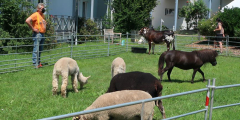 Dudenhofen Sommerfest 2021