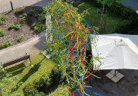 Malsch Maibaum 2024_5.jpg