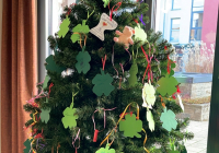 Weinheim Wunschbaum 1.jpg