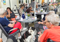Bad Salzschlirf Sommerfest 2024 6.jpg