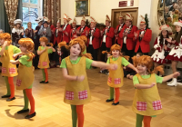 Bad Salzschlirf_Fasching 2020_1.jpg