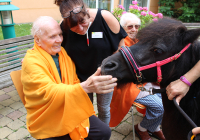 Incura_Schifferstadt_Bambi_08-2021.jpg