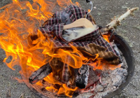 Malsch_Fastnacht_8.jpg