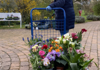 Dudenhofen Pflanzaktion 3.jpg