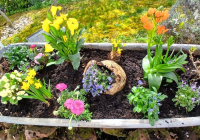 Dudenhofen Pflanzaktion 5.jpg