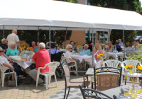 Schifferstadt Sommerfest 2025 2.jpg