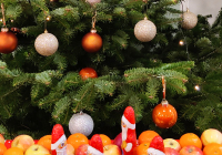 Bensheim Nikolaus 2023 1.jpg