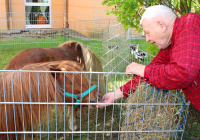 Schifferstadt Frühlingsfest 1.jpg