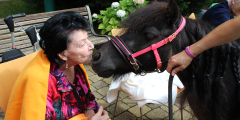 Da steht ein Pferd vor der Tür