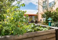 incura_schifferstadt_garten.jpg