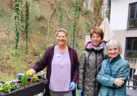 Bensheim Blumenpflanzen Ostern 4.jpg