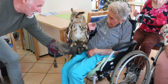 Dudenhofen Falknerbesuch