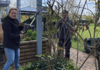 Dudenhofen Pflanzaktion 7.jpg