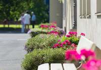 incura_badsalzschlirf_gartenbank.jpg