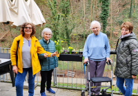 Bensheim Blumenpflanzen Ostern 1.jpg
