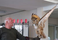 Dudenhofen Falknerbesuch 5.jpg