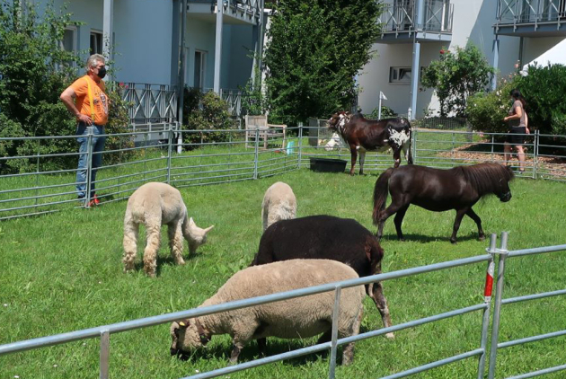 Dudenhofen Sommerfest 2021
