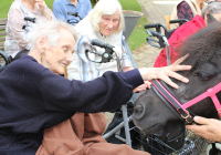 Incura_Schifferstadt_Bambi_08-2021_1.jpg