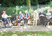 Bensheim Erdbeerfest 2022 2.jpg
