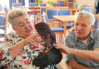Dudenhofen Falknerbesuch 3.jpg