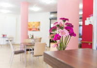 incura_weinheim-essbereich-rosa.jpg