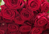 Dettenheim_Valentinstag 2.jpg