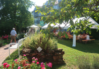 Dudenhofen Sommerfest 2024 7.jpg