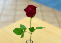 Dudenhofen Valentinstag 2024 3.jpg