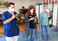 Dudenhofen Falknerbesuch 1.jpg