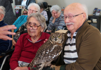 Dudenhofen Falknerbesuch 4.jpg