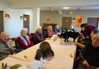 Lindenfels Tierbesuch 2023 2.jpg