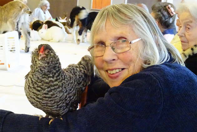 Lindenfels Tierbesuch 2023