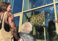 Malsch Ausflug Zoo 1.jpg