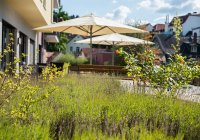 incura_weinheim-terrasse.jpg